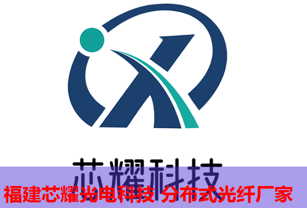 光纖網(wǎng)絡(luò)布局下的政策導(dǎo)向與實(shí)踐策略分析