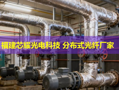 光纖分布式測(cè)溫裝置：精準(zhǔn)監(jiān)控，安全無(wú)憂(yōu)的溫度守護(hù)者