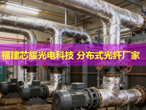 上海分布式光纖檢測技術(shù)如何提升城市通信安全？行業(yè)領(lǐng)先方案詳解。