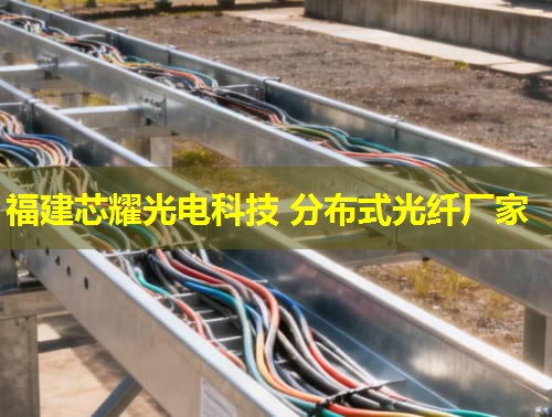 采油分布式光纖檢測(cè)技術(shù)能提高油田效率嗎？