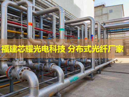 光纖技術(shù)革新引領(lǐng)，分布式網(wǎng)絡(luò)構(gòu)建未來橋梁。