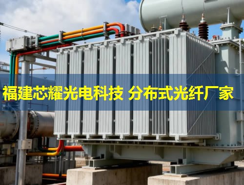 河北地區(qū)分布式光纖技術(shù)應(yīng)用前景廣闊，助力智慧城市建設(shè)新篇章。光纖網(wǎng)絡(luò)覆蓋廣，信息傳輸效率高。