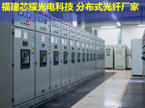 分布式光纖傳感技術(shù)新進展與應(yīng)用