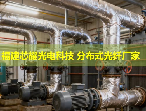 分布式光纖應(yīng)變檢測設(shè)備推薦選購指南