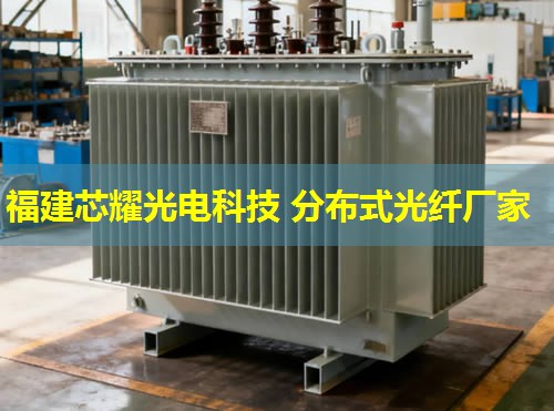 光纖測溫技術(shù)引領(lǐng)者，專業(yè)廠家打造高效分布式測溫解決方案