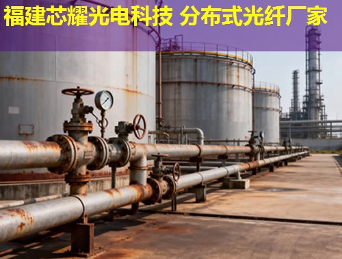 2026年分布式光纖監(jiān)測系統(tǒng)行業(yè)領(lǐng)先廠家排行榜